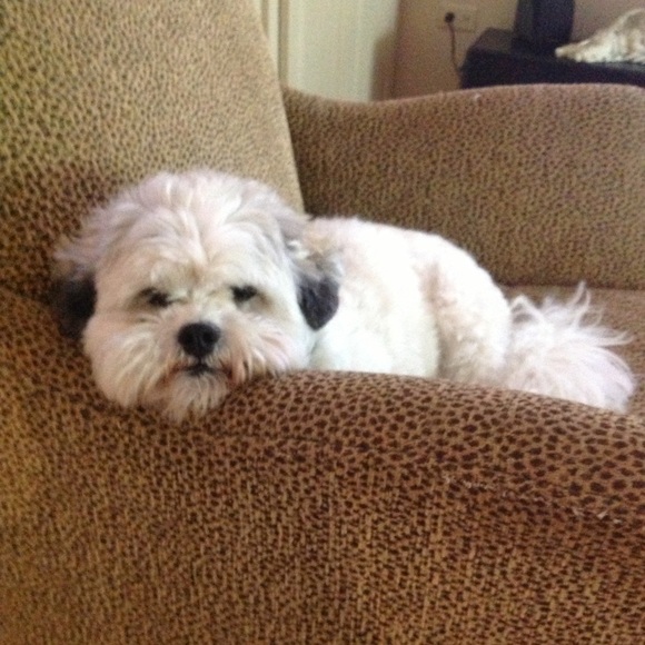 Meet your Posher, Christine - Picture 1 of 7